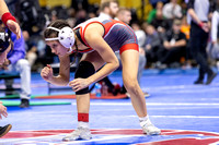 D2Medal-4