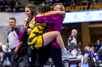 D2Medal-9